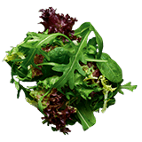 Prémium salátamix
