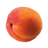 Sárgabarack