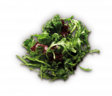Ruccola saláta mix